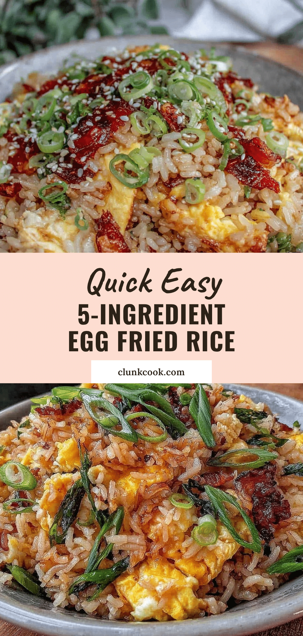 easy 5-ingredient egg fried rice recipe