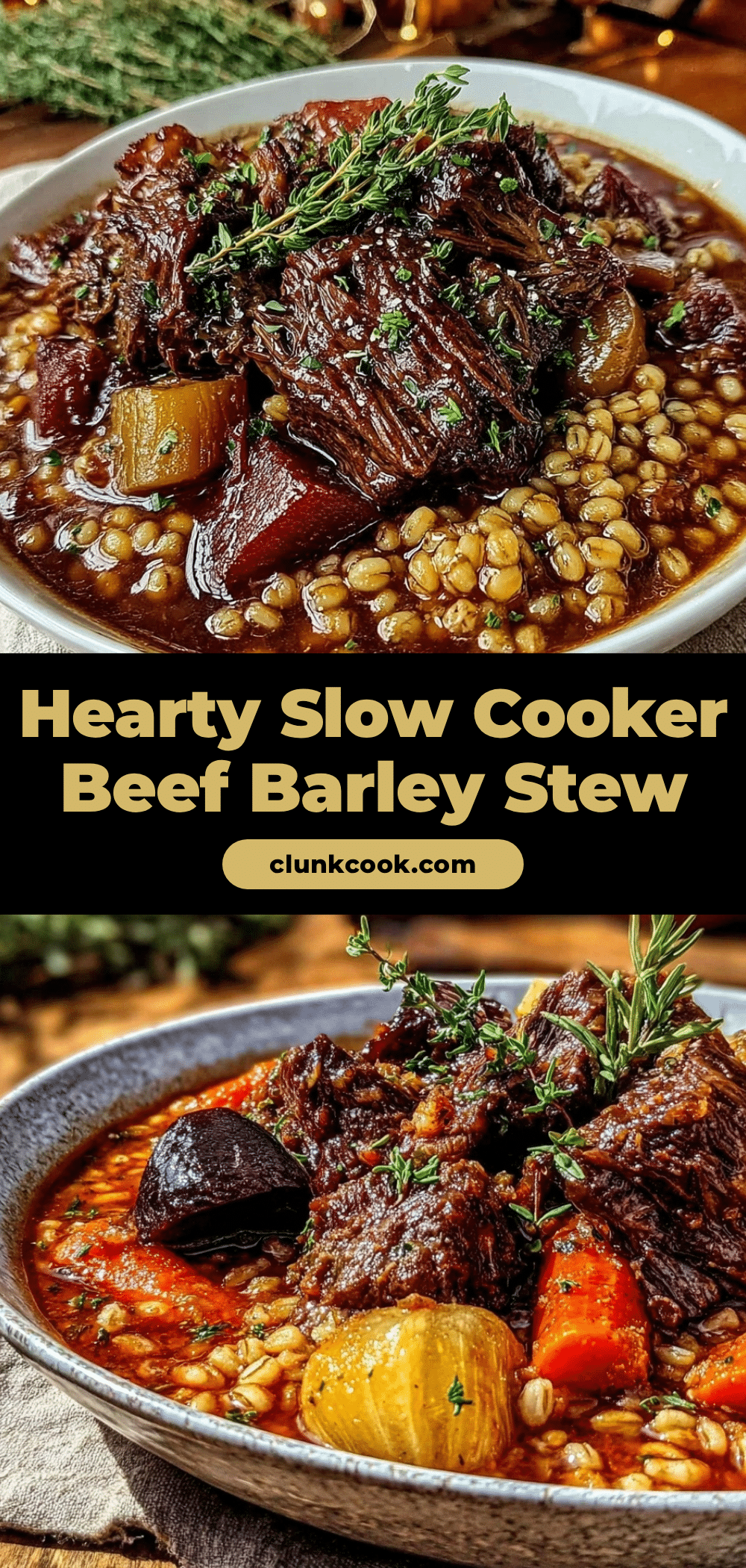 slow cooker beef and barley stew recipe