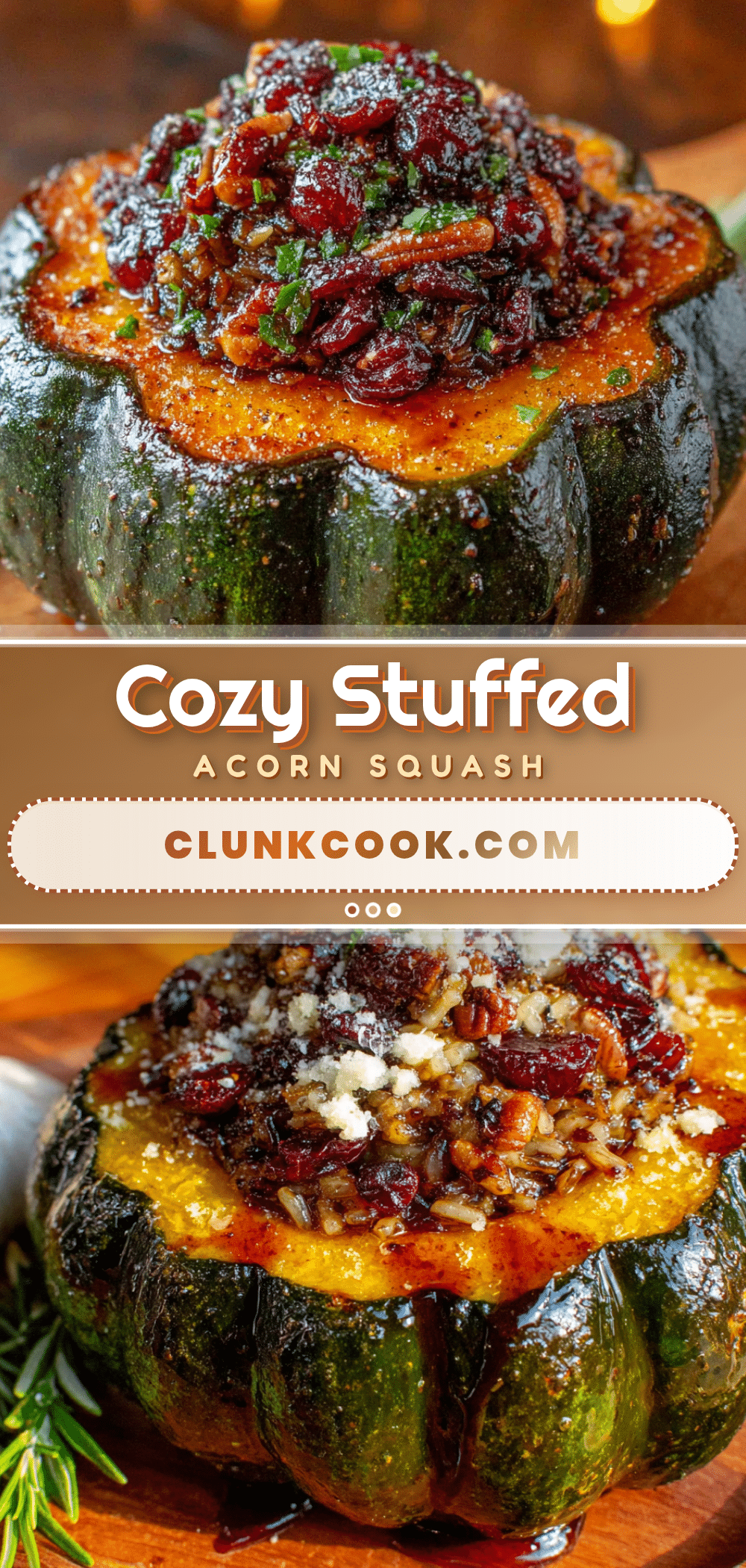 stuffed acorn squash with wild rice and cranberries recipe