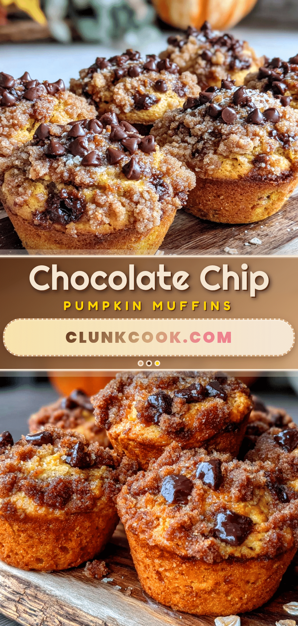 chewy chocolate chip pumpkin muffins recipe