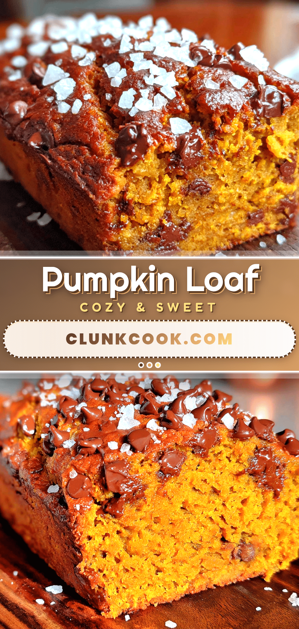 chocolate chip pumpkin loaf recipe