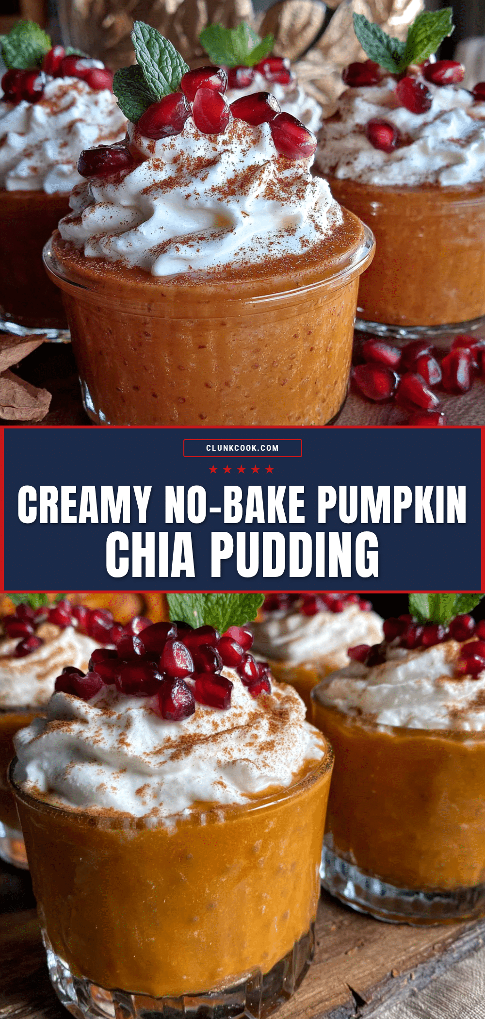 no-bake pumpkin chia seed pudding recipe
