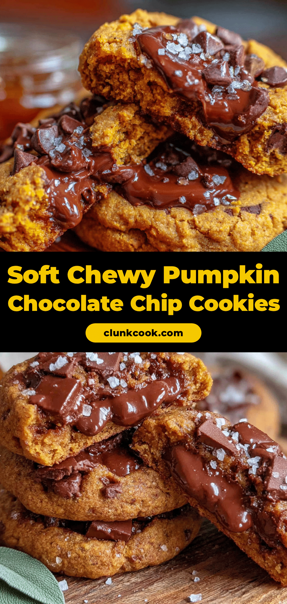 soft chewy pumpkin chocolate chip cookies recipe